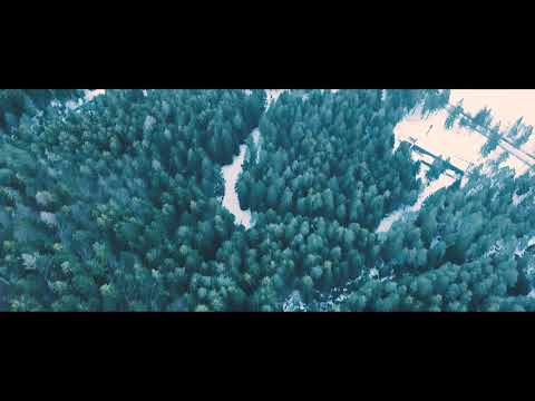 DARI | COME MAI | PROD. POLEZSKY