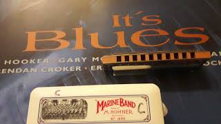 Frank Frost &amp; Ry Cooder - Cotton needs pickin&#39; (Blues Harp Legends)