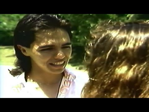 Los Temerarios - Ven Porque Te Necesito on Spotify Charts