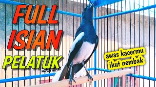 Download lagu KACER GACOR ISIAN PELATUK COCOK UNTUK MASTERAN KACER ANDA !! PANCINGAN KACER  AMPUH LANGSUNG GACOR . mp3 Download lagu KACER GACOR ISIAN PELATUK COCOK UNTUK MASTERAN KACER ANDA !! PANCINGAN KACER  AMPUH LANGSUNG GACOR . mp3