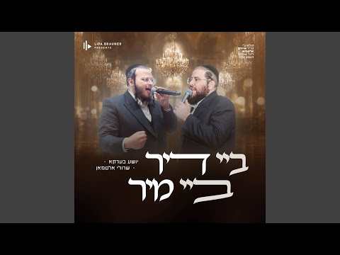 Ba Dir Ba Mir (feat. Shea Berko)