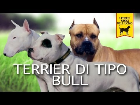Osteocondrosi trattamento l1 s1 Linfa dolore nodo del collo a sinistra di rimedi popolari