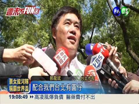 紙貓熊快閃 神秘客一同曬太陽