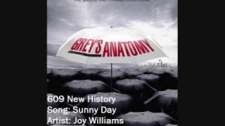 609 Joy Williams - Sunny Day