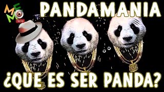 Pandamania ¿ Que Es Ser Panda ? -  Memo TeVe