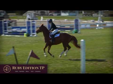 Ruby Edition TP Jumping