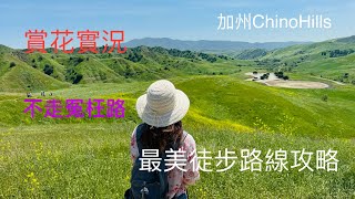 Chino Hills 賞花實況/不走冤枉路 /限定花海徒步路線攻略/奇諾崗州立公園superbloom Chino Hills State Park 2025