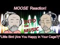 MOOSE – Little Bird (Are You Happy in Your Cage?) | REACTION (Ko-Fi Request)