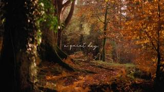 a playlist for reading in the peaceful calm of the garden
