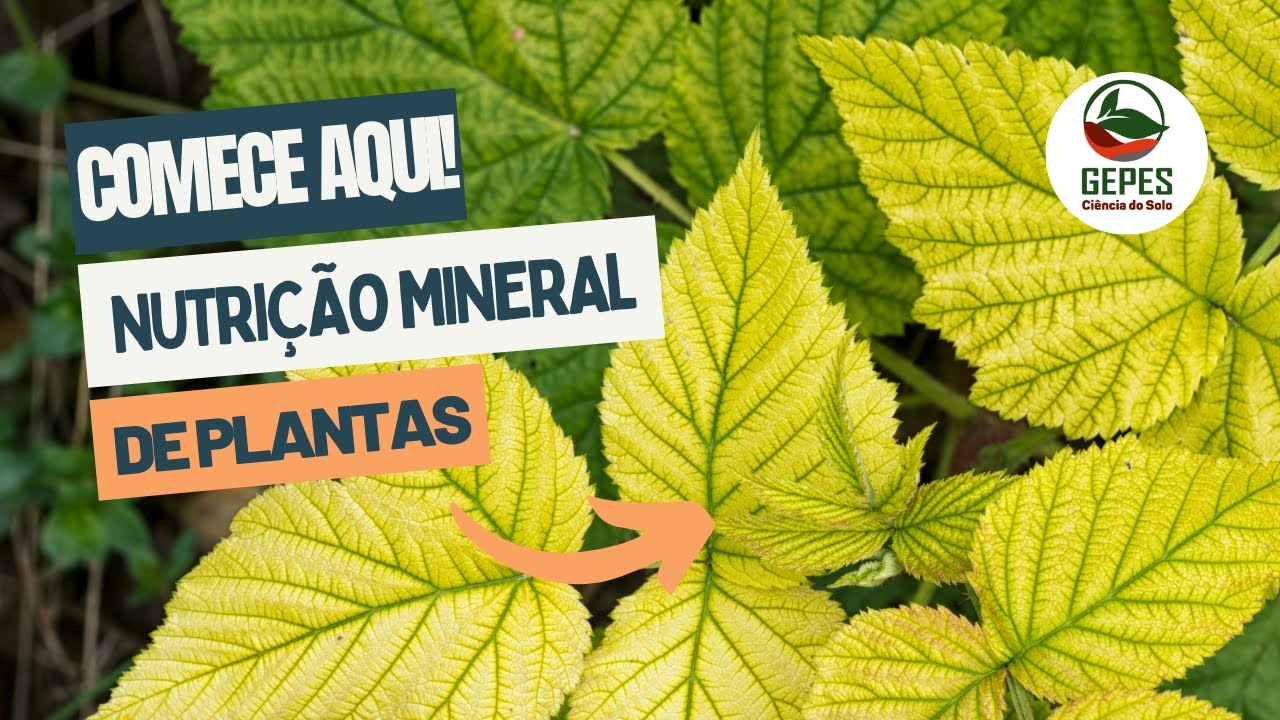 Critérios de essencialidade para plantas e elementos essenciais, benéficos e tóxicos