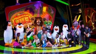 Busch Gardens Madagascar Live! Operation: Vacation show - Tampa