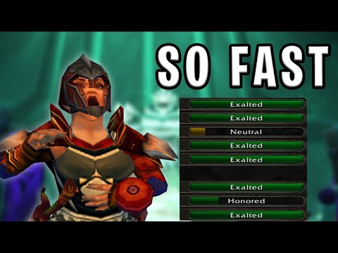 Getting REPUTATION is SO EASY | TBC Classic Warrior