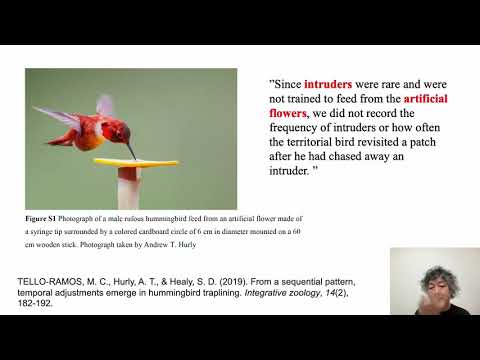 Cognitive Neuroscience Lectures by Ken Mogi in Tokyo. Lecture 2