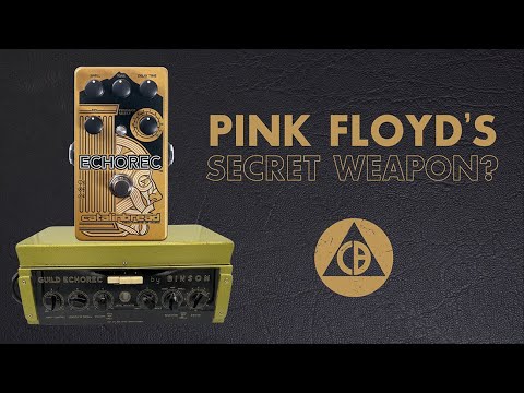 Catalinbread Echorec 2012 - Yellow image 4