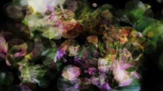 Christopher Willits  "Colors Shifting" : Scott Pagano