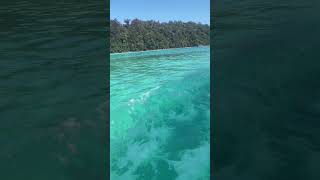 スリン島　เกาะสุรินทร์　Surin Island