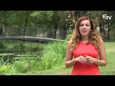 Kultúrcsepp: PulzArt – 2017. szeptember 14.