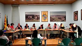 Ple Ordinari 28-04-2026