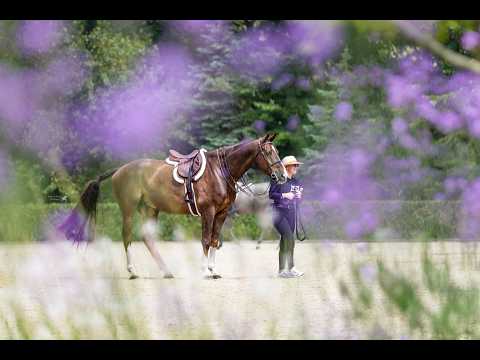 Goldrush video 2