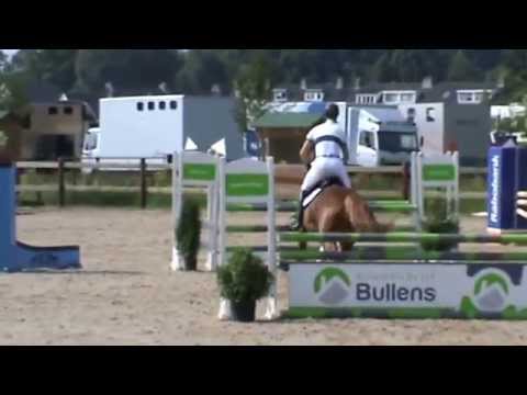 Flugel (v. Arezzo VDL)