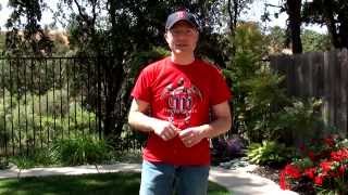 Southern Gospel Gardener 28 - Triumphant Quartet - The Greatest Story