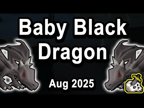 Baby Black Dragon Guide OSRS - August 2025