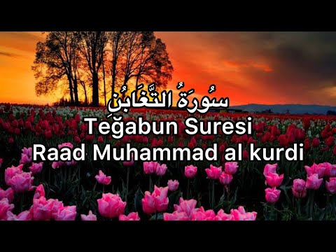 Teğabun Surei-Raad Muhammad al Kurdi