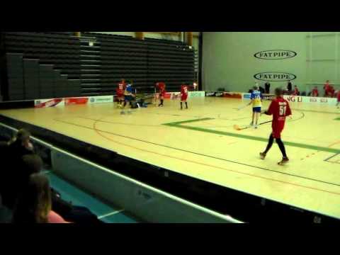 30.1.2016  Tampere  RSS Panthers Red - YPA 13 - 4