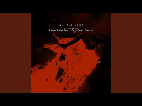 I Wish I Was You (Twin Tribes Remix)