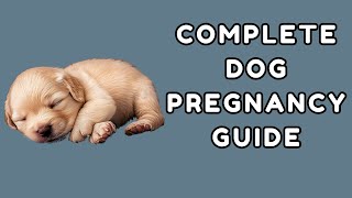 The COMPLETE Dog PREGNANCY Guide | GemmiYup