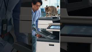コピー機から出てくる紙と本気で戦う猫 / 家電と動物たち のサムネイル
