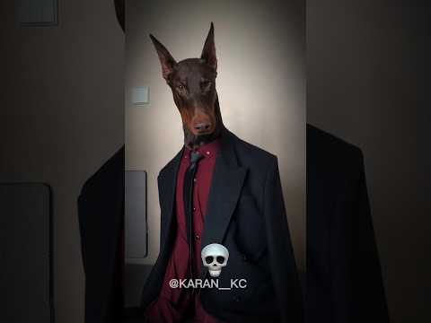 TRANSFORMATION OF DOGS PITBULL, DOBERMAN, DALMATION🥶☠️ #shorts #ytshorts #shortsvideo