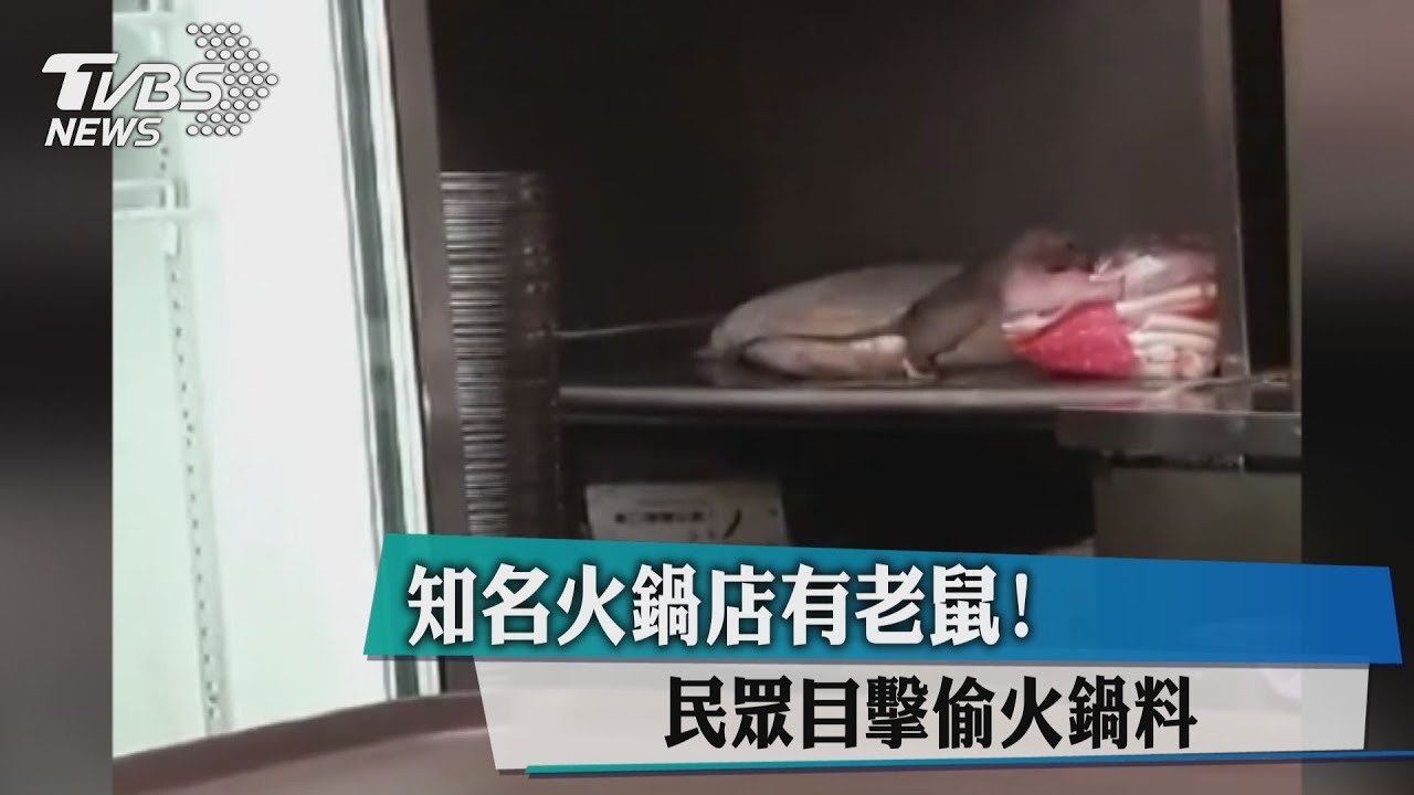 知名火鍋店有老鼠！　民眾目擊偷火鍋料