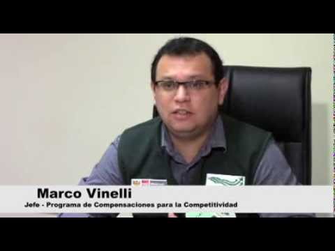 Prog de Compensaciones para la Competitividad - AGROIDEAS