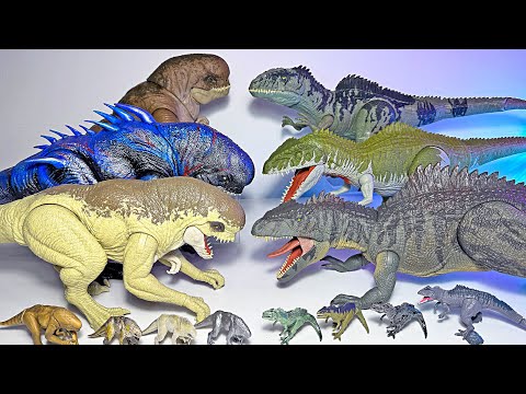Distortus Rex VS Giganotosaurus! Jurassic World Dinosaur Toys Battle!