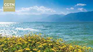 El camino hacia la prosperidad: El rescate de los lagos más emblemáticos de China