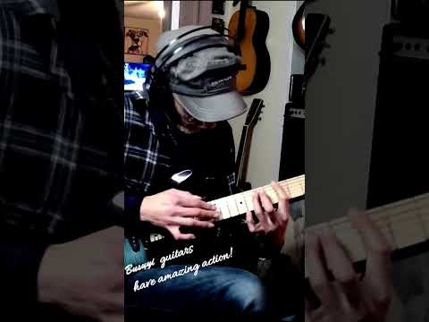 4 String Short Scale Neck Through Fretless Bass/6 String Fretless Tremolo Busuyi Double Sided, Headless Guitar image 3