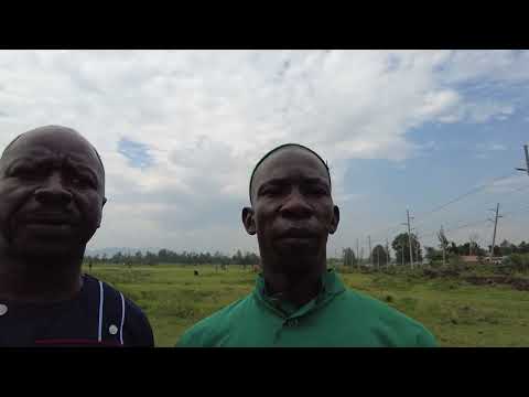 Testimony of a church member