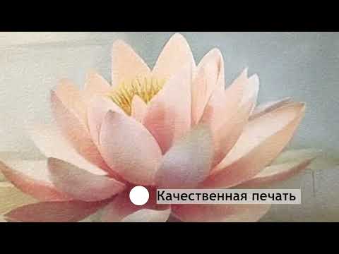 Миниатюра изображения товара Картина Декарт Лилия на воде 8Л4017 (в раме)