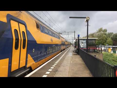 8624 op den helder zuid