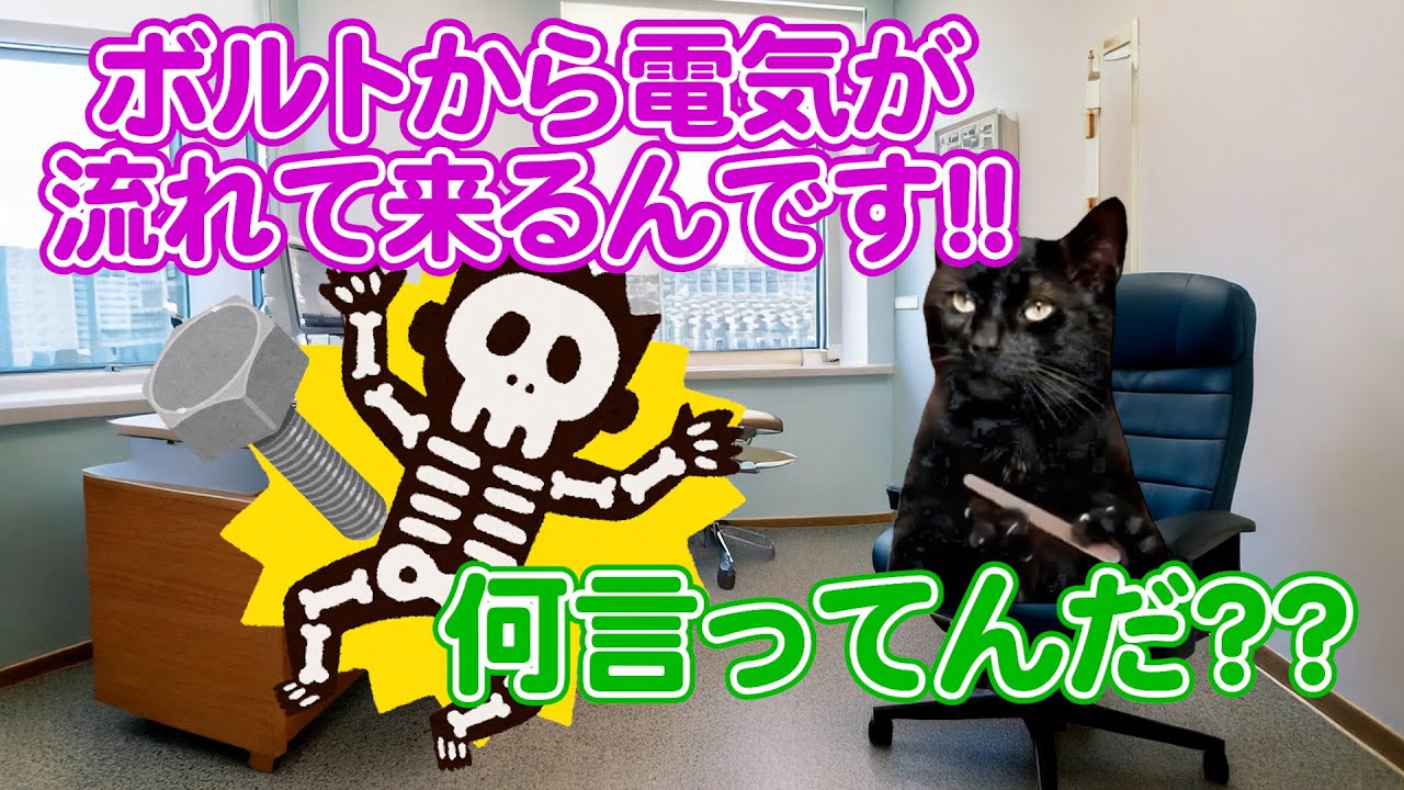 意味不明な症状で来院した女性の正体とは【猫ミーム】