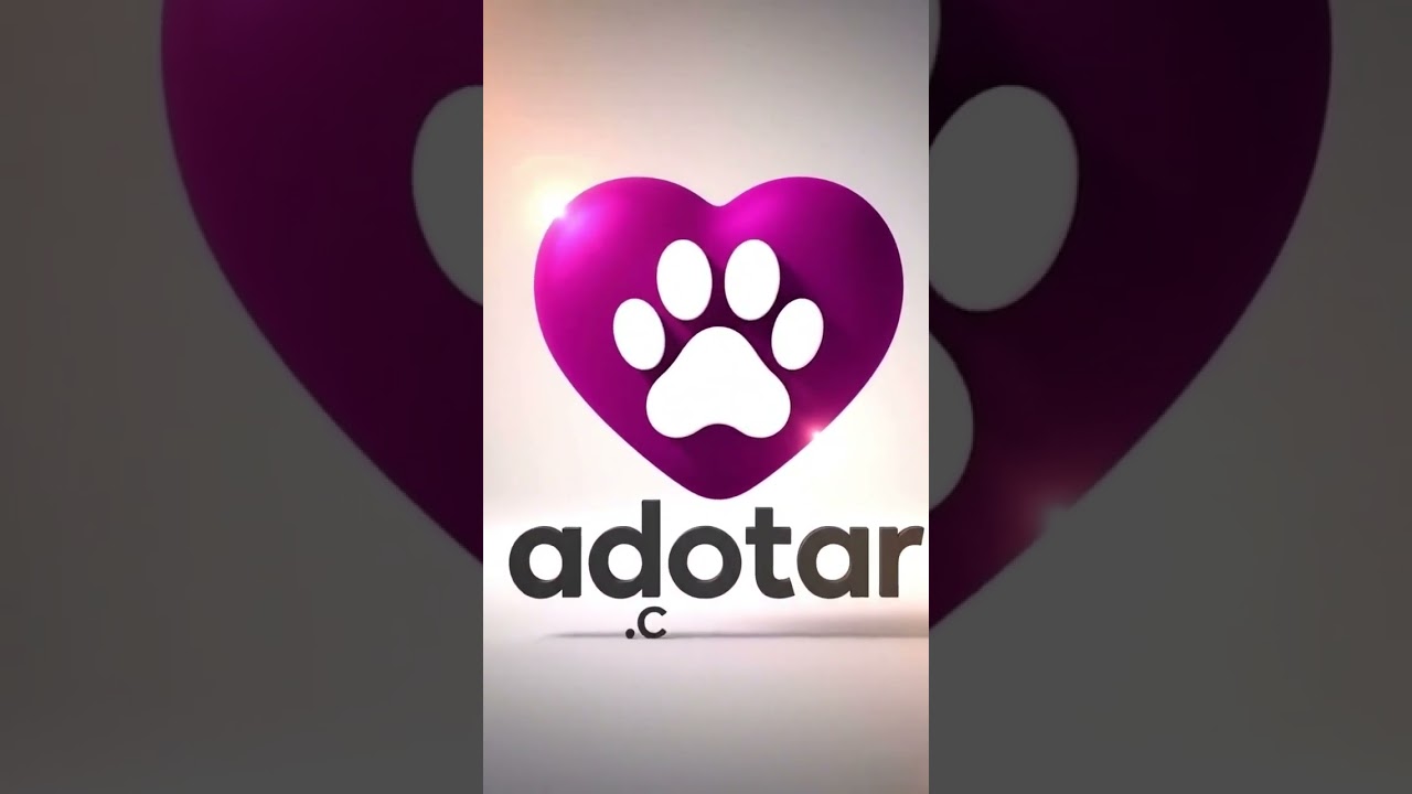 Cachorro raça SRD-ViraLata idade 2 anos nome Alice 