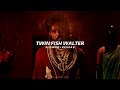 Twin Fish Walter Slowed Reverb Sai Abhyankar Benz