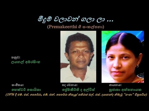 Meedum Walaawan Gala Laa - මීදුම් වලාවන් ගලා ලා