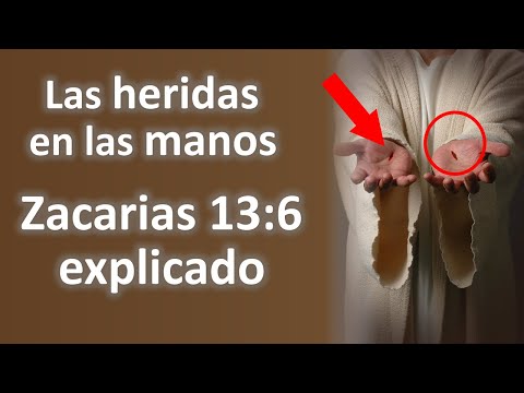 Who is the man with wounds on his hands in Zechariah 13:6?