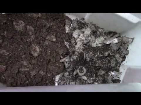 Red Wiggler Bedding Changes Already