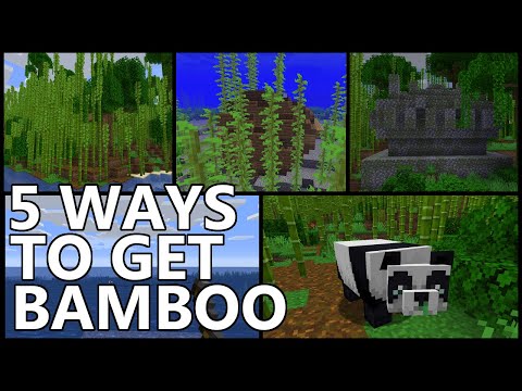 RajCraft - 5 Ways To Get BAMBOO In Minecraft