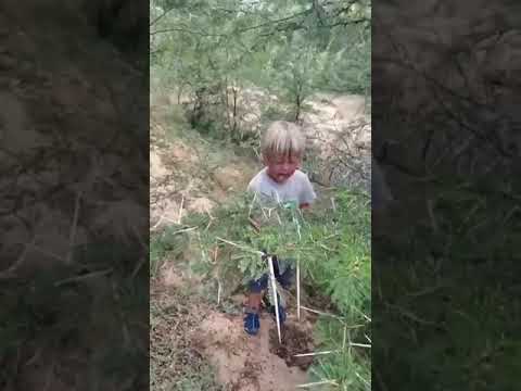 download lagu mp3 mp4 Fokken Poes, download mp3 Fokken Poes free downloadn, video klip Fokken Poes