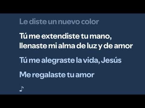 Tu me alegraste la vida Letra
