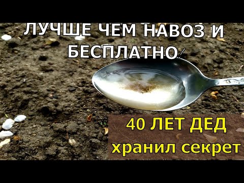 , title : '1 ЛОЖКУ НА ВЕДРО ВОДЫ И ЗЕМЛЯ КАК НОВАЯ! ПРОЛЕЙТЕ ЭТИМ ЗЕМЛЮ ДЛЯ ОБИЛЬНОГО УРОЖАЯ ВСЕХ КУЛЬТУР.'